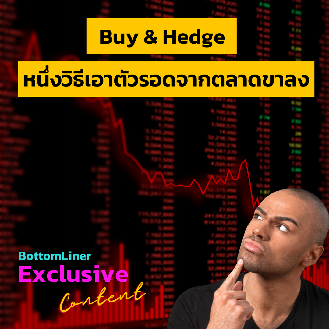 Buy & Hedge หนึ่งวิธีเอาตัวรอดจากตลาดขาลง